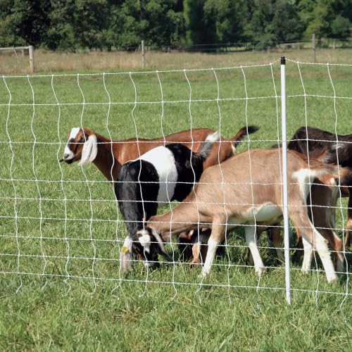 Premier 1 PermaNet® PrimaLite™ Fence – Sheep & Goats – 48"H x 100'L | White/black. Step-in wedge posts for extra stability. For sheep & goats. Keeps out coyotes & dogs. Energizer sold separately. - size: 100 ft