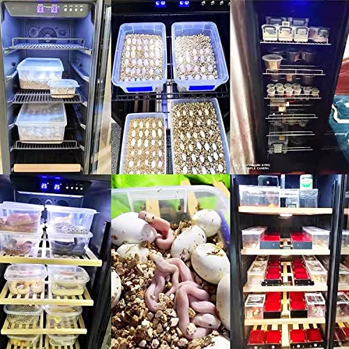 95L Large Reptile Automatic Incubator Cooling and Heating 41℉ to 100℉ 110V Reptile Egg Mute Hatchery Work for Reptiles - size: 95L