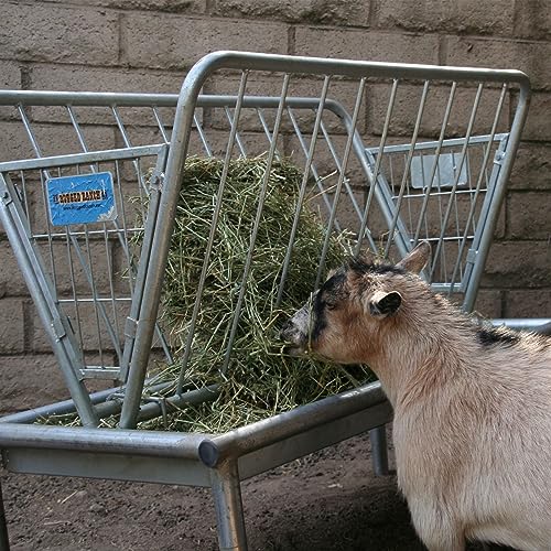 Rugged Ranch Products 4 Foot Long Outdoor Heavy Duty Mini Galvanized Steel Pasture Hay Feeder for Goats, Sheep, and Miniature Horses, Silver