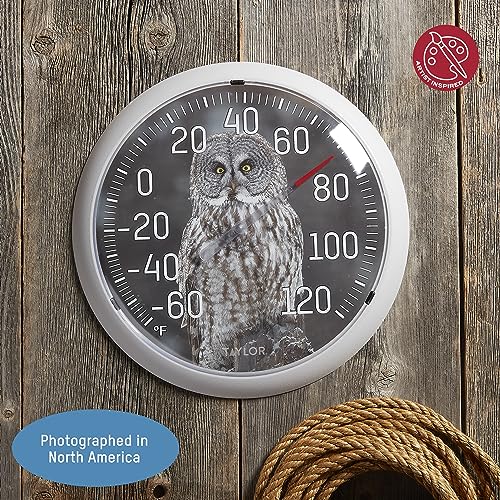 Taylor Nature Series Indoor Outdoor Owl Thermometer, Easy to Read Wall Decor for Patio, Pool, Yard, Garden or Garage, 13.25 Inch, Gray Bezel - style: Owl
