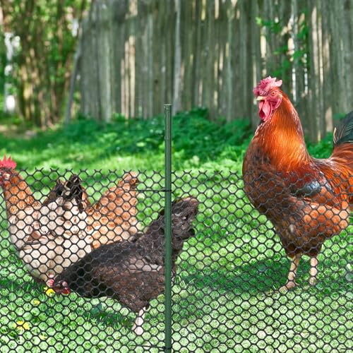 Marsui Animal Barrier Fence 12in x 33ft No Dig Garden Fence Mesh Fencing with Steel Stake Movable Portable Temporary for Poultry Dogs Rabbits Chicken Snake Barrier Garden Backyard Outdoor - size: 12in x 33ft