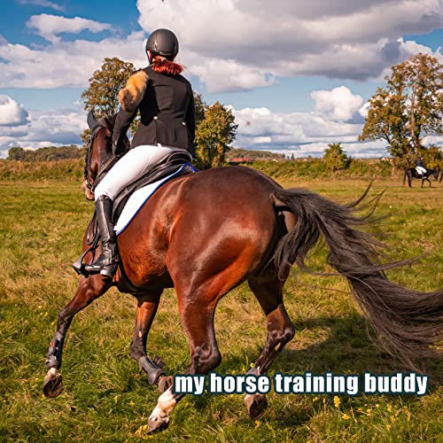 4pcs Horse Training Flag, 17.1x17.1inch | 5.25 Feet Red Retractable Telescopic Flag Poles with Horse Flag Horse Training Equipment (Four Colors)