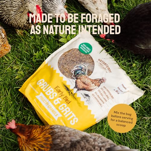 Hatortempt 10lb Grubs & Grits Chicken Treats, High-Calcium Chicken Feed | Chicken Grit, Oyster Shell, Black Soldier Fly Larvae & Mealworms for Chickens - Hand Inspected Chicken Food - Balanced Diet - size: 10 Pound (Pack of 1)