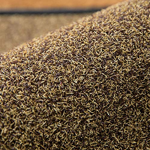 HAPYLY Disinfection Floor Pad Mat Sanitizing Floor Mat Multifunction Entrance Mat Footbath Mat RugShoe Mat Home Hotel (Brown) - color: Brown