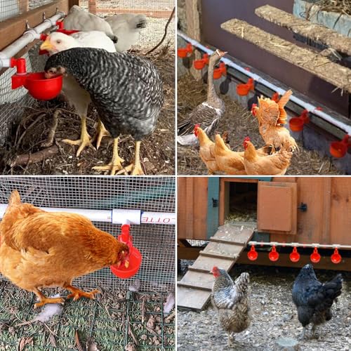 Automatic Chicken Waterer System Kit with Chicken Water Cups Nipples Float Valve Pipeline 58 PCS Complete Set Chicken Water Feeder Dispenser Large Chicken Watering System PVC Poultry Waterer Drinker