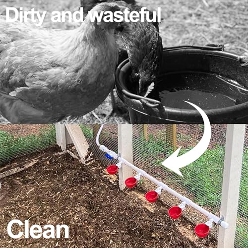16pack Large Poultry Waterer Cups, Professional Chicken Water Cups for Poultry LANARP Float Style Gravity Chicken Watering System, Tee Fittings Poultry Waterer Suitable, with Mounting Hole Opener (16)