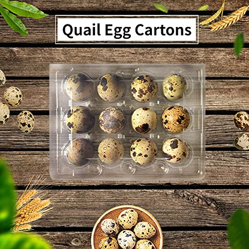 50 Pcs Quail Egg Cartons,12 Grids Small Egg Storage Holders,Quail Eggs Bulk Carton Trays for Small Eggs,Quail,Pheasant,Pigeon Eggs