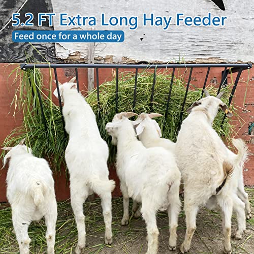 Horse Hay Feeder, 63'' Long Livestock Hay Feeder 48 Gallon Capacity | Carbon Steel Wall Mounted Hay Rack for Horses, Sheep, Goats, Indoor Outdoor Uses - size: 63INCH