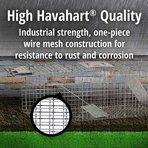 Havahart Large 2 Door Humane Catch and Release Live Animal Trap for Armadillos, Beavers, Bobcats, Small Dogs, Cats, Foxes, Groundhogs, Nutria, Opossums, Raccoons, Live Catch Trap for Stray Dogs 1045SR