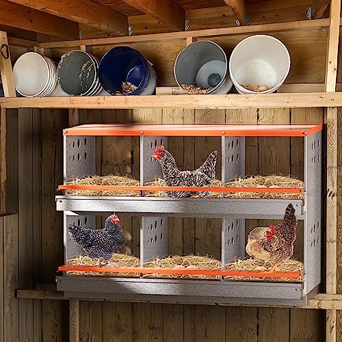 Chicken Nesting Box, 6 Compartment Metal Nesting Boxes for Chickens Laying Eggs, Rust Proofed Nest Box with Roll Away Egg Collection Laying Box for Chicken Coop