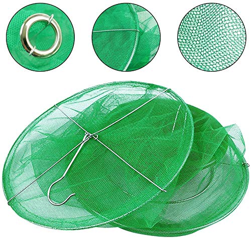 Ranch Fly Trap Outdoor Hanging Reusable with Fishing Apparatus | Food Bait Tray Catcher Cage for Indoor or Outdoor Family Farms, Park (8 Pack) - style: 8 pack