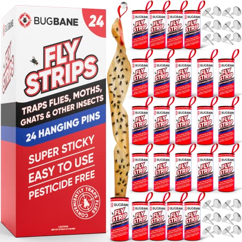 Fly Strips Indoor Sticky Hanging 24pk with Pins. Non Toxic Outdoor Fly Trap Indoor for Home. Flies Tape Paper Trap Ribbon Roll for House Gnat Fruit and Housefly. Bug Catchers for Inside Home Flypaper. - size: 24 count
