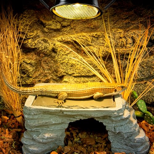 REPTI ZOO G9 Reptile Heat Lamp Bulb & Reptile Light Fixture with Safety Mesh Kit, 50W UVA Basking Light Fixture for Bearded Dragon Gecko Lizard Turtle Snake Chicken, Low Profile Warm White Heat Bulb