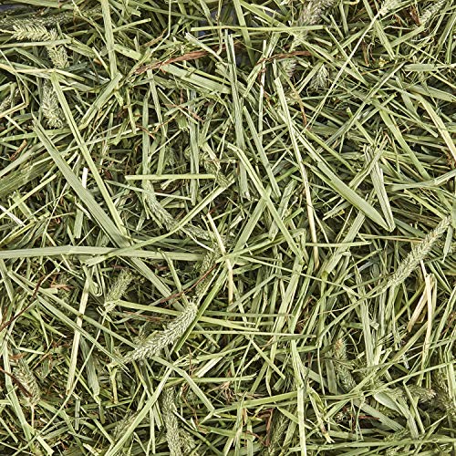 Kaytee Timothy Hay, High Fiber for Rabbits, Guinea Pigs, 48 Ounces | Supports digestive health. Hand-selected rabbit hay. Guinea pig hay, chinchilla hay, pesticide free - size: 3 Pound (Pack of 1)