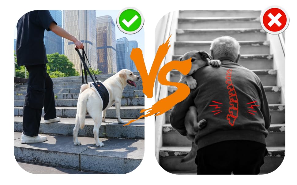 Dog Lift Harness for Large Dogs, Dog Sling for Back Leg,Senior,Disabled Dog | Comfortable Adjustable Dog Carry Harness with Handle, Dog Mobility Aids for Walking/Stand up After Hip Surgery/CCL Injury - size: L / XL：80 - 350 Lbs