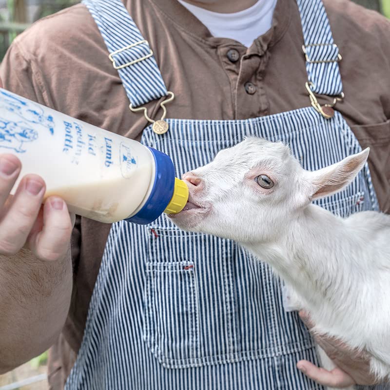 Premier 1 Lamb 'N' Goat Kid Wide-Mouth Feeding Bottle with Pritchard Teat | Includes Pritchard teat for realistic feeding. Wide mouth for easy cleaning & filling. For orphan lambs & goat kids. - style: Bottle & Pritchard Teat