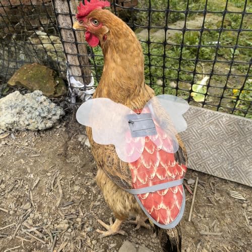 Upgraded Chicken Saddle for Hens - Adjustable Hen Apron with Buckle Straps, Waterproof Poultry Back & Wing Protector for Feather Loss & Mating，Detachable Model (1, White) - color: White