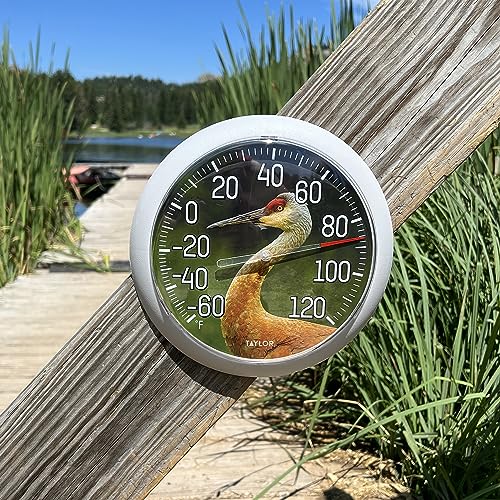 Taylor Nature Series Sandhill Crane Indoor Outdoor Dial Thermometer, Easy to Read Wall Decor for Patio, Pool, Yard, Garden or Garage, 8.5 Inch, Gray Bezel - style: Sandhill Crane
