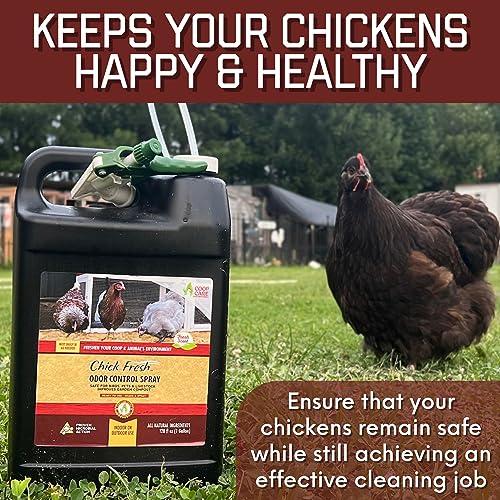 Chick Fresh Odor Eliminator for Backyard Chickens. Makes 1 Gallon of Solution Eliminates Coop, Brooder Odor, Etc. Concentrate w/ 128 oz Empty Sprayer (2 gallons) - size: 2 gallons