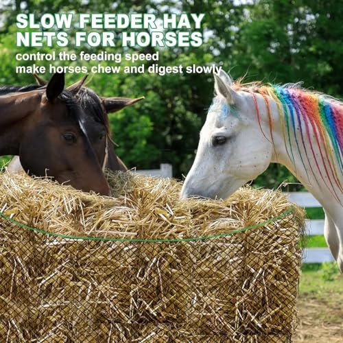 6x6 ft Round Bale Hay Net - Large Slow Feeder for Horses & Livestock, Knotless Design Slow Feeder Hay Nets, Fits 4x4ft 5x5ft 6x6ft Round & 3x3x8ft 4x4x8ft 5x5x8ft Square Bales (Black-Round) - color: Black-Round