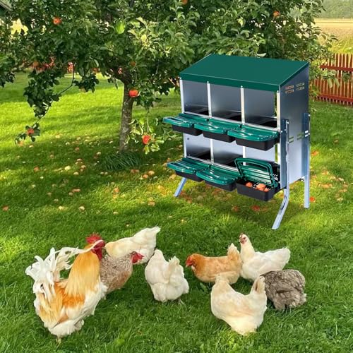 Chicken Nesting Box, 6 Hole 2 Layer Hen Nest Boxes with Legs, Roll Away Eggs Laying Boxes,Cleanable Pull Out Hen Roosting Boxes - size: Green- 6 compartment with legs