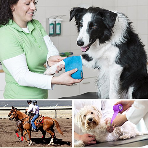 LotFancy 10 Rolls Self Adhesive Vet Wrap, 3 Inch Cohesive Bandage Wrap for Horses, Dogs, Cats, Pet, Animal, Non-Woven Medical First Aid Tape for Wounds, Paw, Leg, Foot, Ankle Sprains & Swelling - size: 3 Inch x 5 yards