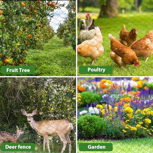 25 x 50 Ft Bird Netting with 2.4" Square Mesh Bird Net for Chicken Coop | Heavy Duty Nylon Poultry Netting for Garden Protect Fruit Trees, Vegetables and Plants Against Birds, Deer - size: 25' x 50'