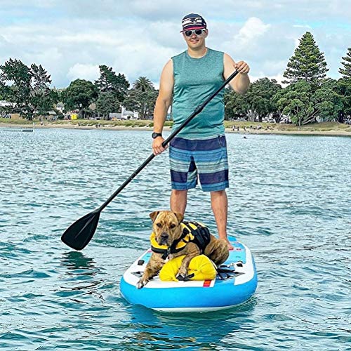 Karltion SUP Paddle - 3-Piece Adjustable Aluminium SUP Paddle with Glass Fiber Blade for Surfing, Floating, Water Sports - color: Turquoise