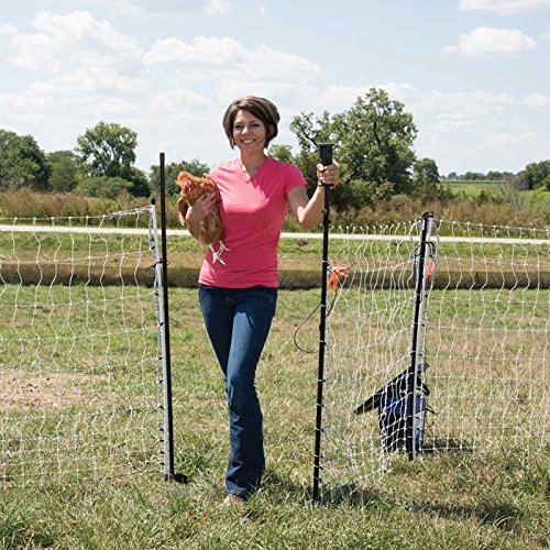 Premier 1 PoultryNet® Electric Net Gate for Chickens – 48"H x 8'L | Black/white net, drivable posts. Open without turning off the energizer. For chickens, ducks & geese. Fits PoultryNet®.
