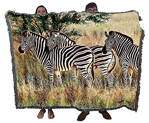 Pure Country Weavers Three Zebra Group Blanket by Cynthie Fisher - Gift Tapestry Throw Woven from Cotton - Made in the USA (72x54) - color: Zebras