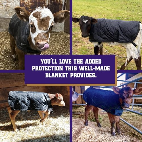Weaver Livestock Warming Calf Blanket for Winter, Quilted Calf Coat with Buckle, Belly Protecting Livestock Shelter Blanket for Small Cattle