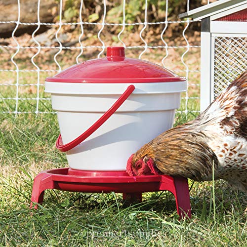 Premier 1 Quick Clean Poultry Waterer for Chickens & Poultry - 3 Gallon | Remove lid to refill. Legs elevate waterer 5" above bedding. Up to 35 adult birds. Level surface required. Not for hanging.