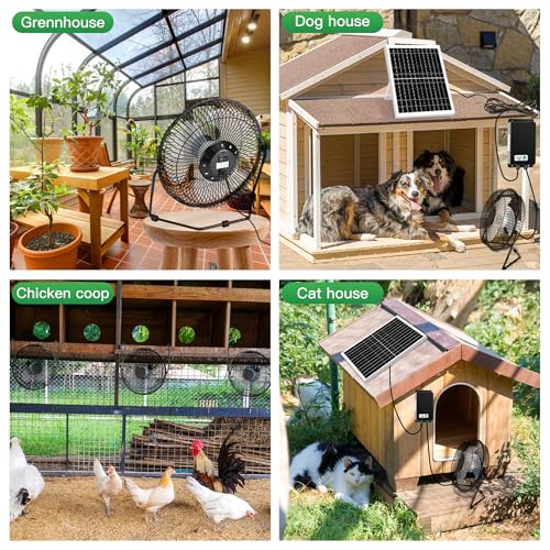 blessny 8" Solar Rechargeable Fan for Greenhouse, Chicken Coop, Pet House | 25W Solar Powered Floor Fan with 66.6 Wh Battery Backup for Outdoor Air Circulation Cooling