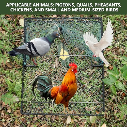 Humane Pigeon Trap,Bird Trap for Quail,Turkey(19.7x23.6 inch) | Net Traps,Metal-Frame Mesh Trap