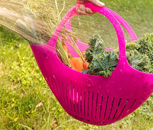Hutzler Garden Colander Garden Basket, large, Green - color: Green, size: Large