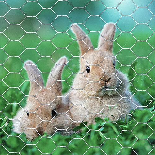 MTB 20GA Galvanized Hexagonal Poultry Netting Chicken Wire 72 inches x 150 feet x 1 inch Mesh - size: 72"x150'