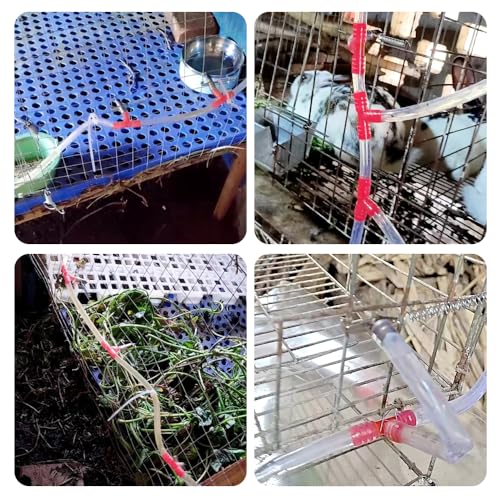 Automatic Rabbit Waterer Drinker Feeder 30sets for Poultry Rats Guinea Pig Ferret Rat Mouse Poultry (Red) - color: Red