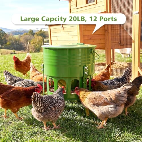 Tgeyd Metal Chicken Feeder, 20lb Large Chicken Feeder with 12 Feeding Ports | Durable Metal Construction, Clean Modern Look, 4 Adjustable Height Settings, Easy Assembly for Backyard Chicken Keeping