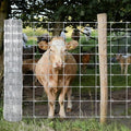 Garvee Livestock Fence, 5Ft x 328Ft Galvanized Wire Fencing, Cattle Farm Fence, Heavy Zinc Coated Deer Goat Cattle Fence for Farm Yard Livestock Protection - size: 5ft x 328ft