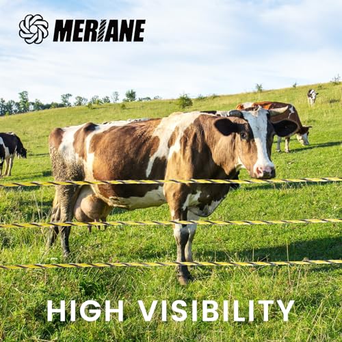 MERIANE Electric Fence Wire 1/8" 656 Feet/200 Meters for Livestock | Upgraded 6 Stainless Steel Strands Conductors, UV Wear Rust Resistant, Portable Polyrope Electric Fence Polywire - size: 1/8" 656 Feet/200 Meters