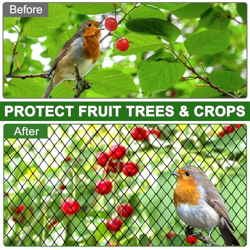 DQS Bird Netting 50' x 100' with 1" Mesh, Poultry Netting for Chicken Coop | Garden Netting for Fruit Tree Against Birds, Squirrels, Deers, Heavy Duty Nylon Aviary Netting for Farm, Orchard - size: 1", 50' x100'