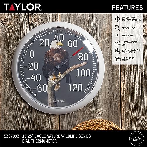 Taylor Nature Series Eagle Indoor Outdoor Dial Thermometer, Easy to Read Wall Decor for Patio, Pool, Yard, Garden or Garage, 13.25 Inch, Gray Bezel - style: Eagle