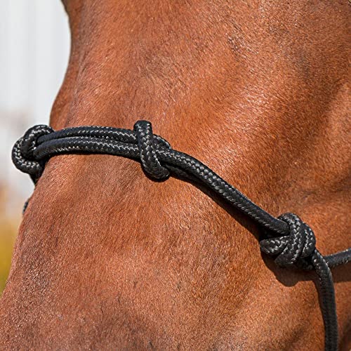 Dura-Tech Rope Control Halter for Horses w/13.5 Lead | Provides Optimal Control | Adjusts to Fit Various Breeds | Includes Durable 13.5' Lead | Soft Yet Heavy-Duty Poly Rope