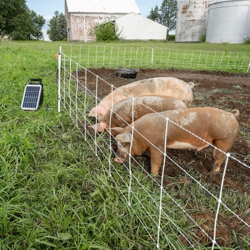 Premier 1 Pig QuikFence® Electric Fence for Pigs – 30"H x 100'L | White/black, single spike, high-visibility posts. 6 horizontal strands. For domestic pigs. Energizer sold separately.