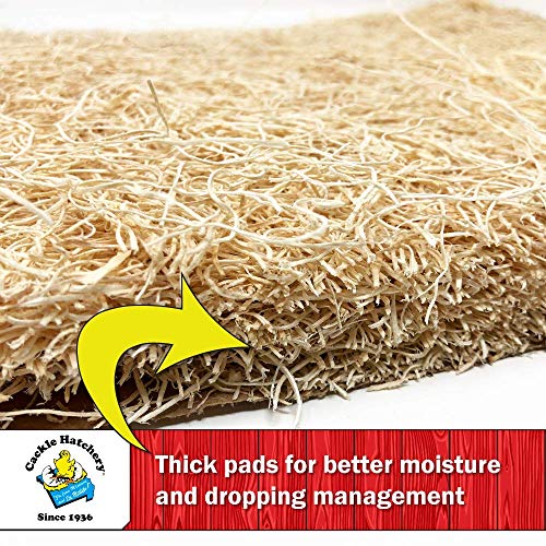 Laying Hen Nest Box Pads Made in USA from Sustainable Aspen Exceslior - 13x13 Nesting Box Liners (24 Pack) - size: 24 Pack