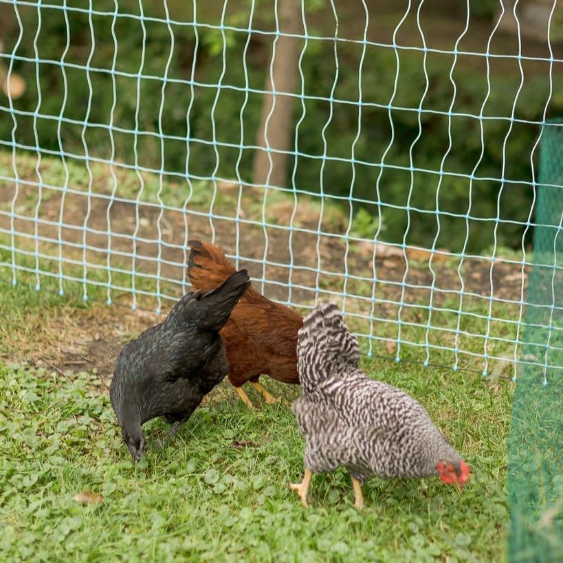 Starkline Electric Poultry Netting Kit - AC Energizer (48" x164' White/Blue Poultry Netting) (12/48/3) All-in-One Electric Fence Kit for Backyards, Homesteads, Ranches or Farms