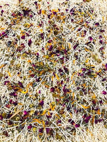MagJo Chicken Nesting Box Herbs 1lb Coop Accessory - size: 1 Pound