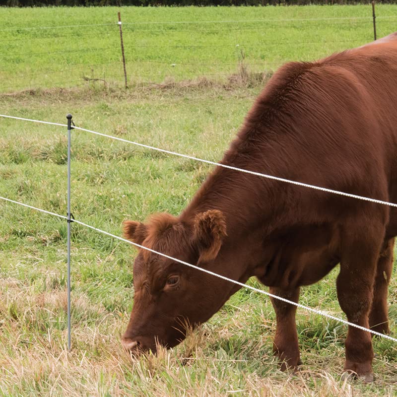 Premier 1 Step-in FiberRod Electric Fence Posts - 5 Pack (36" Tall) | Lightweight & stiff fiberglass. Ideal for rotational grazing. Use with SnapOn Harp Clips to hold conductors. 36" tall. - style: 36" Tall