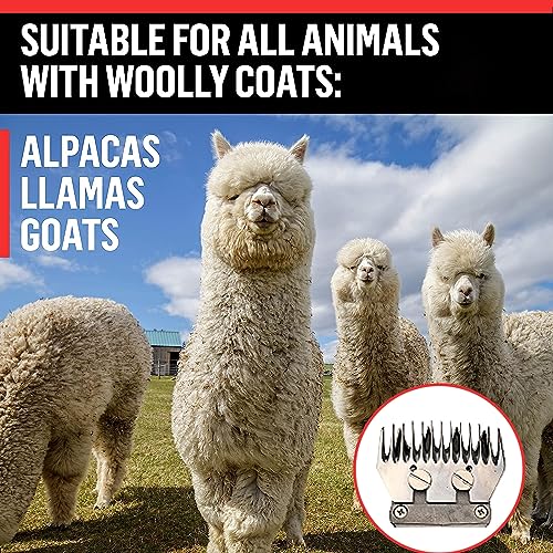 Sheep Shears Wool Clippers Universal Replacement Blades, Shearing Comb and Cutter Blade Set, Stainless Steel Straight 13-Teeth Detachable Trimmer Shears for Grooming Goats, Lambs, Llamas, Alpacas - size: Straight 13-tooth