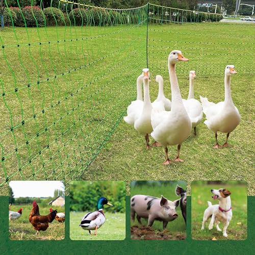 2 Pack Premium Portable Pre-Assembled Poultry Netting Electric Fence 47.3" x 98.5', Green,Utility Portable Mesh for Chickens, Ducks,Geese,Rabbits,Used in Backyards,Farms,and Ranches